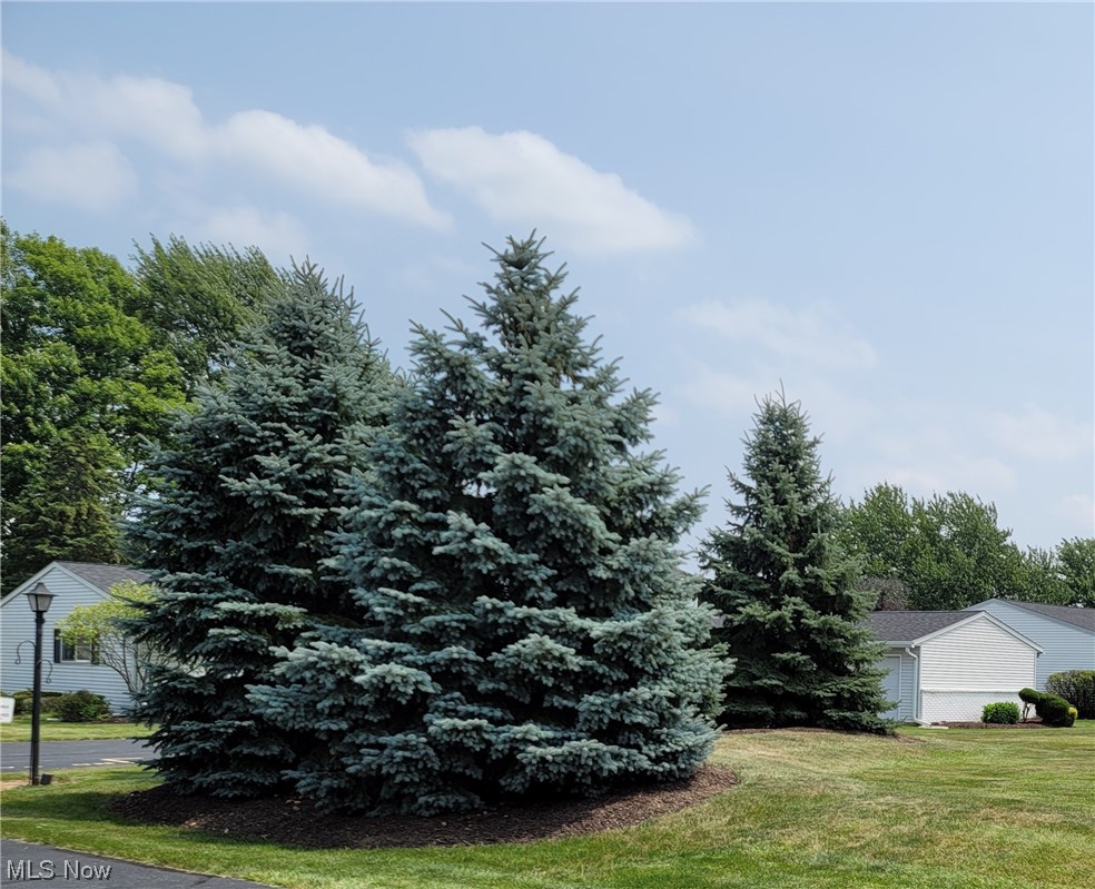 8957 West Ridge Road, Unit D Elyria, OH 44035 - Photo 20 of 21 Gallery Image 20