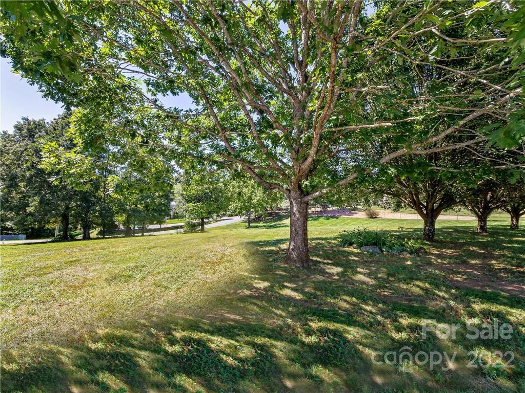 4411 Eller Ford Road Weaverville, NC 28787 - Photo 20 of 20 a view of a trees with a yard