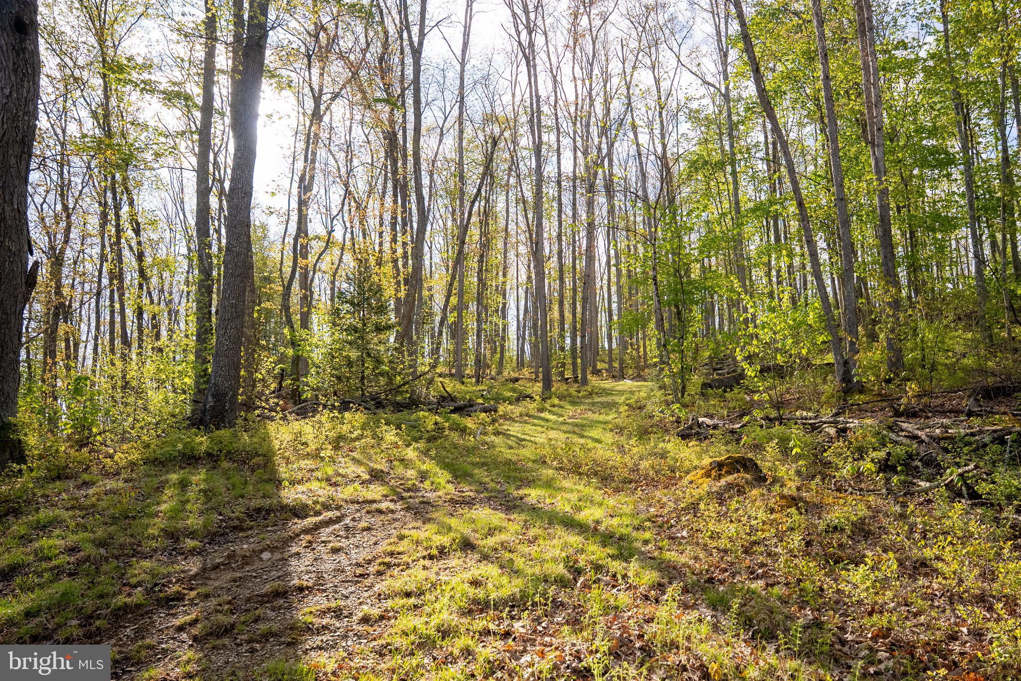 199 Green Bank Road Arbovale, WV 24915 - Photo 72 of 113