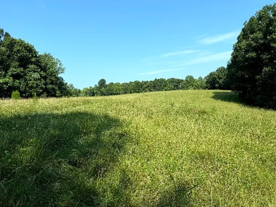 0 Brown Road Bon Aqua, TN 37025 - Photo 11 of 56 Gallery Image 11
