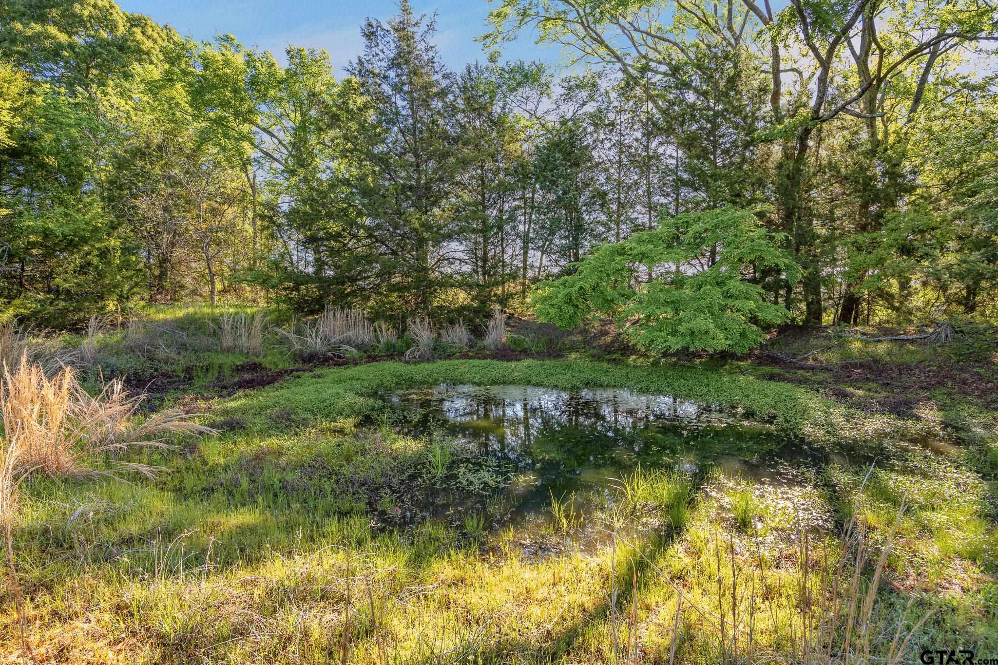 17137 County Road 43 Tyler, TX 75704 - Photo 44 of 47