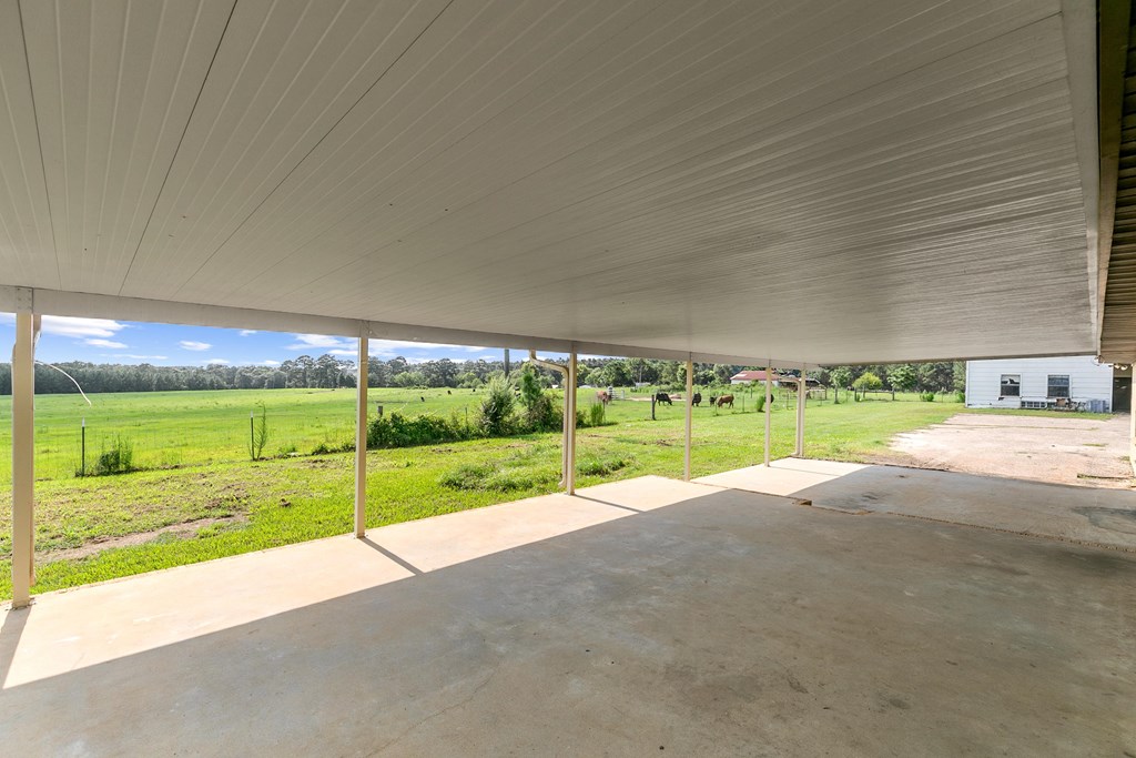 351 Hayborn Road Webb, AL 36376 - Photo 47 of 57