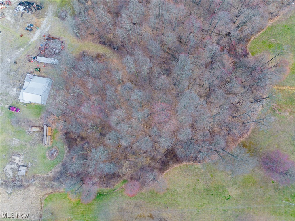 Arney Road Navarre, OH 44662 - Photo 18 of 33 Aerial view