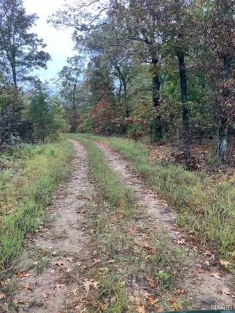 $20,280 | 192 Madison Cr, Fredericktown, MO 63645
