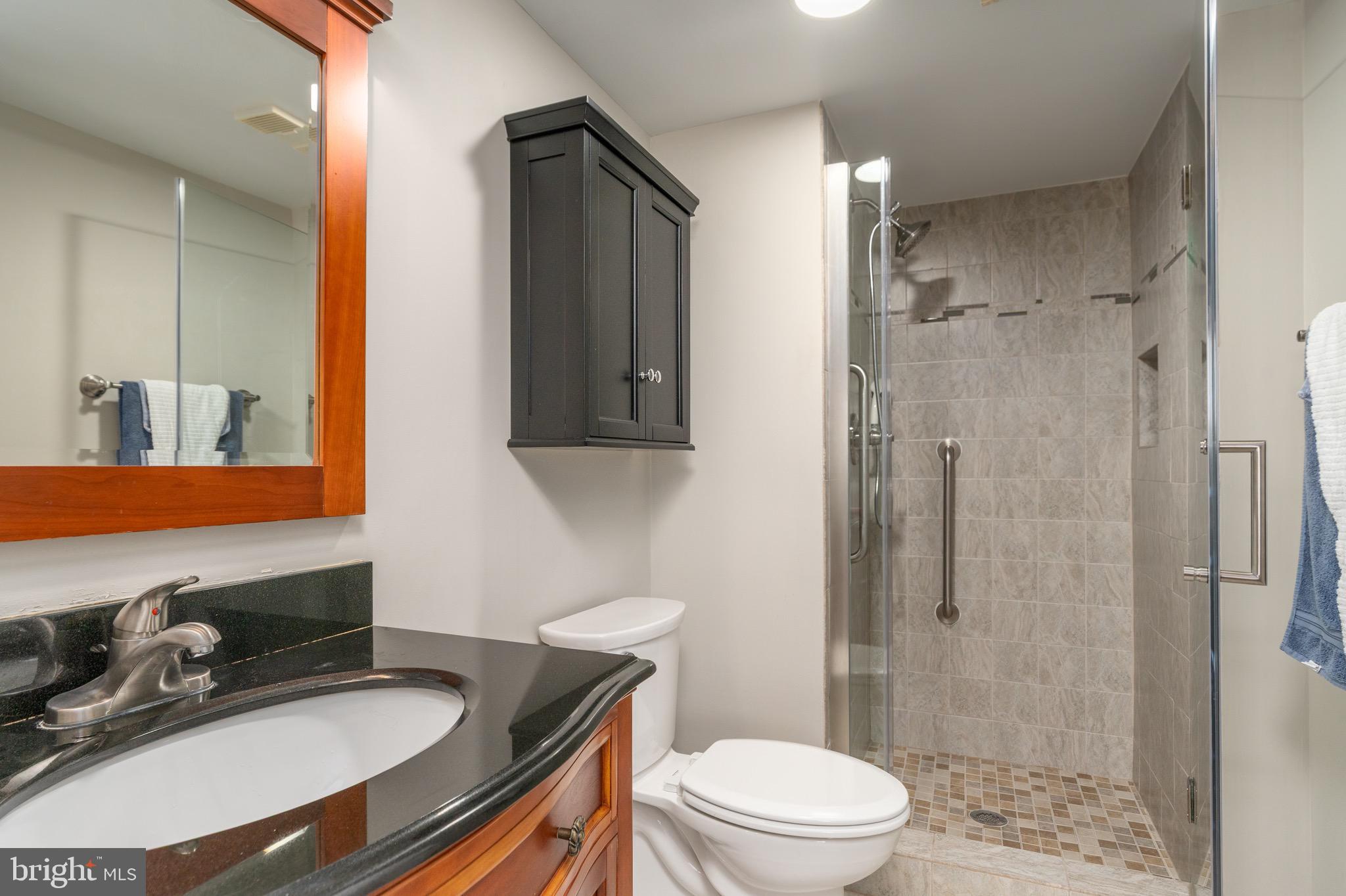 15101 Interlachen Drive, Unit 1612 Silver Spring, MD 20906 - Photo 22 of 37 Updated ensuite bathroom