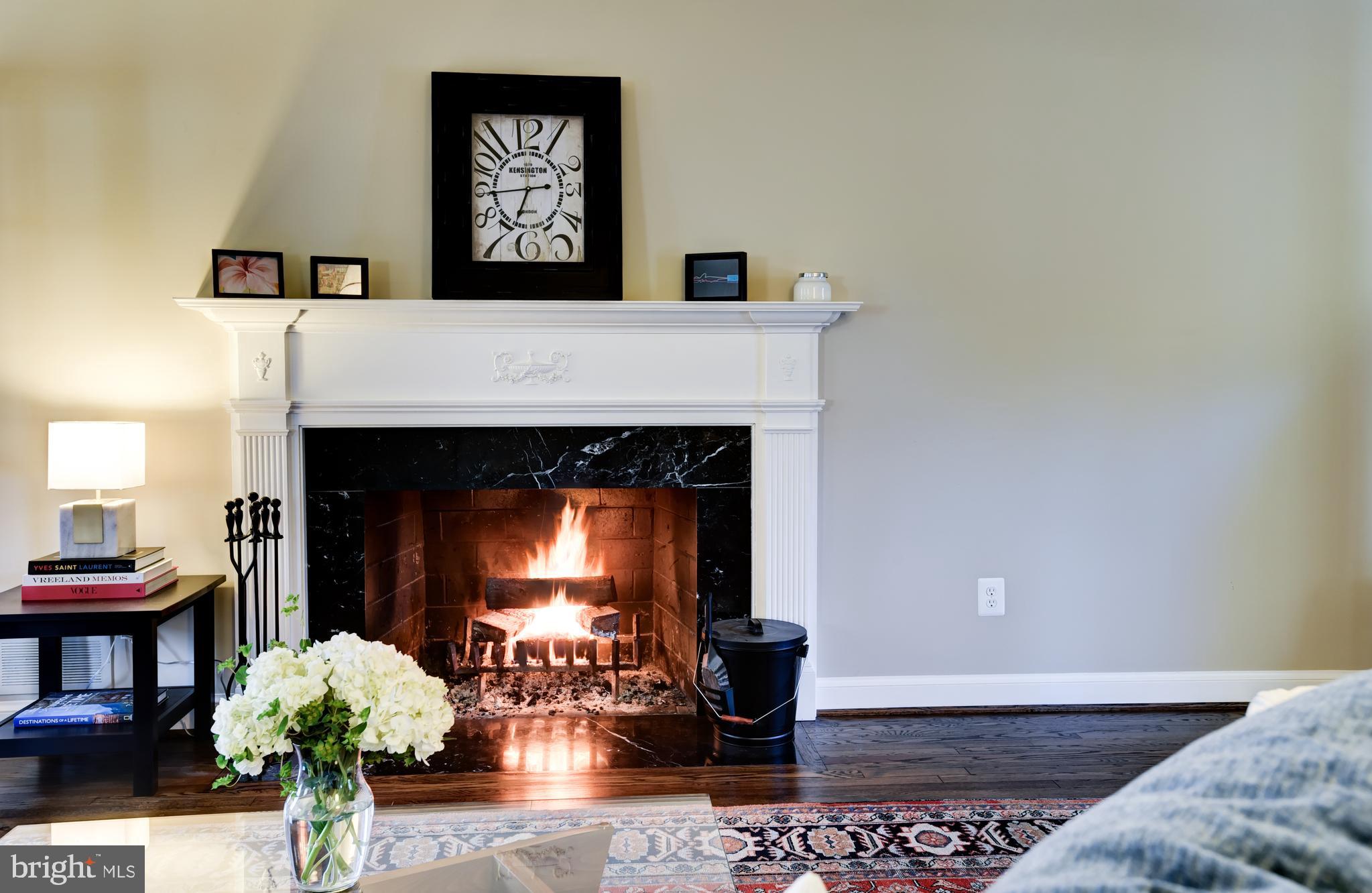 13629 Esworthy Road Germantown, MD 20874 - Photo 15 of 50 Formal living room with wood burning fireplace