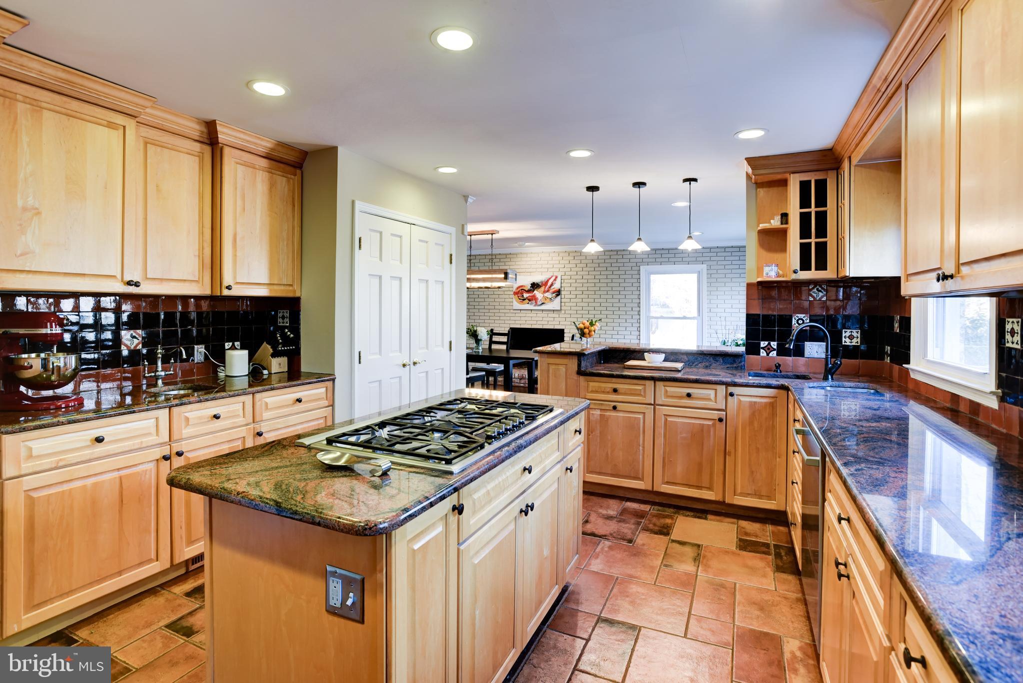 13629 Esworthy Road Germantown, MD 20874 - Photo 4 of 50 Open gourmet kitchen