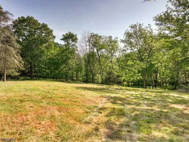 a view of a yard with a trees