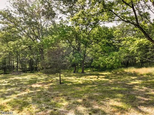 a view of a green field with lots of bushes