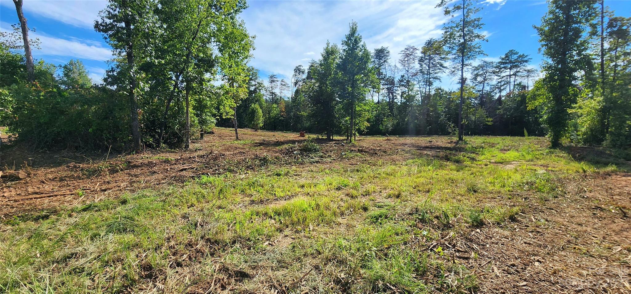 Lot 3 Poors Ford Road, Unit 3 Tryon, NC 28782 - Photo 23 of 34 a view of a yard with trees