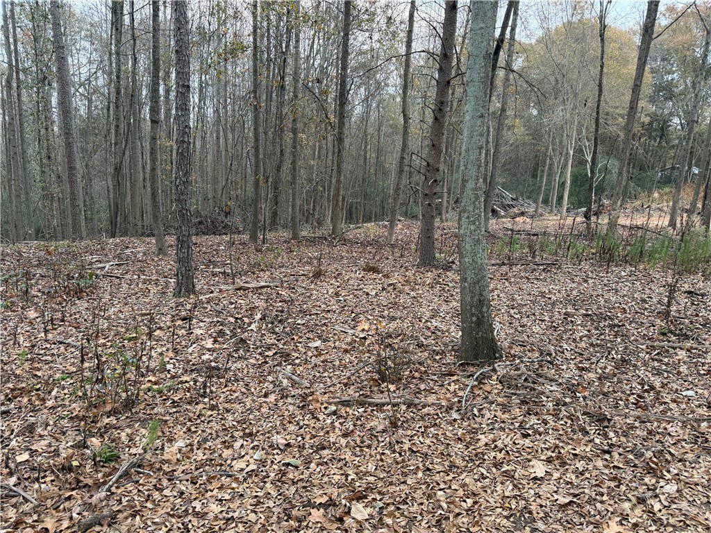 118 Sanders Road Townville, SC 29689 - Photo 5 of 5 Wooded area