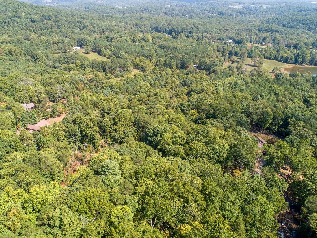 1003 Sun Rock Mountain Road Blue Ridge, GA 30513 - Photo 19 of 36 Gallery Image 19