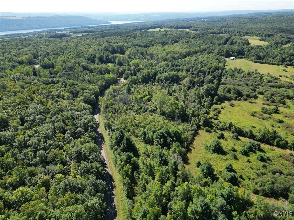 Wessie Road Prattsburgh, NY 14873 - Photo 11 of 11