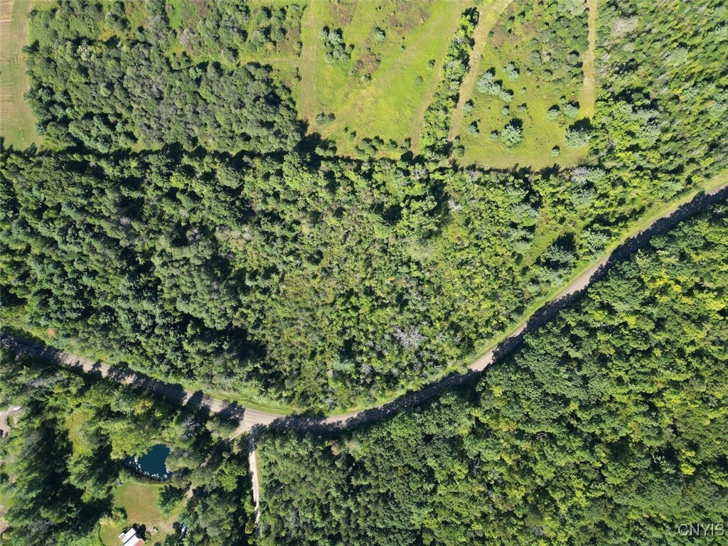 Wessie Road Prattsburgh, NY 14873 - Photo 2 of 11