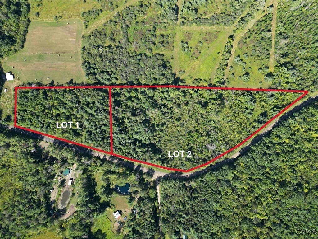 Wessie Road Prattsburgh, NY 14873 - Photo 3 of 11