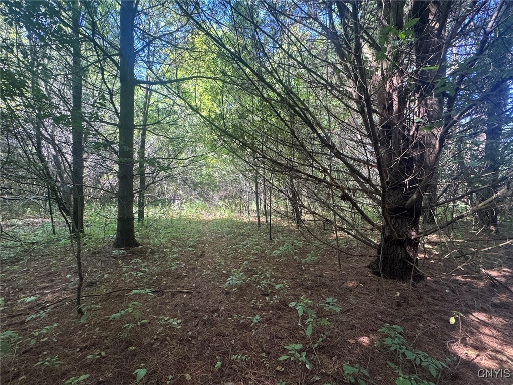 Wessie Road Prattsburgh, NY 14873 - Photo 5 of 11