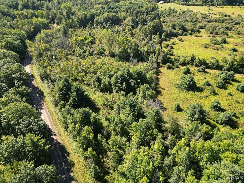 Wessie Road Prattsburgh, NY 14873 - Photo 6 of 11