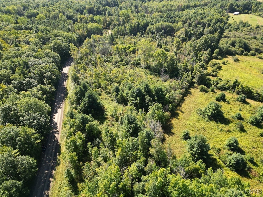 Wessie Road Prattsburgh, NY 14873 - Photo 7 of 11