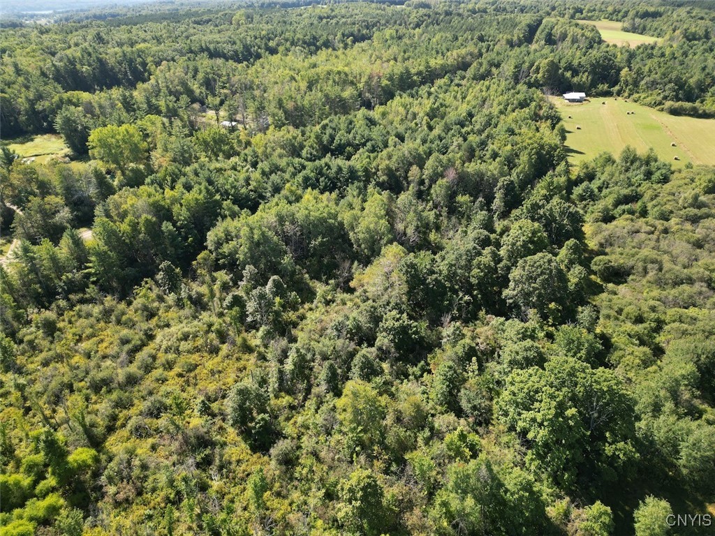 Wessie Road Prattsburgh, NY 14873 - Photo 8 of 11