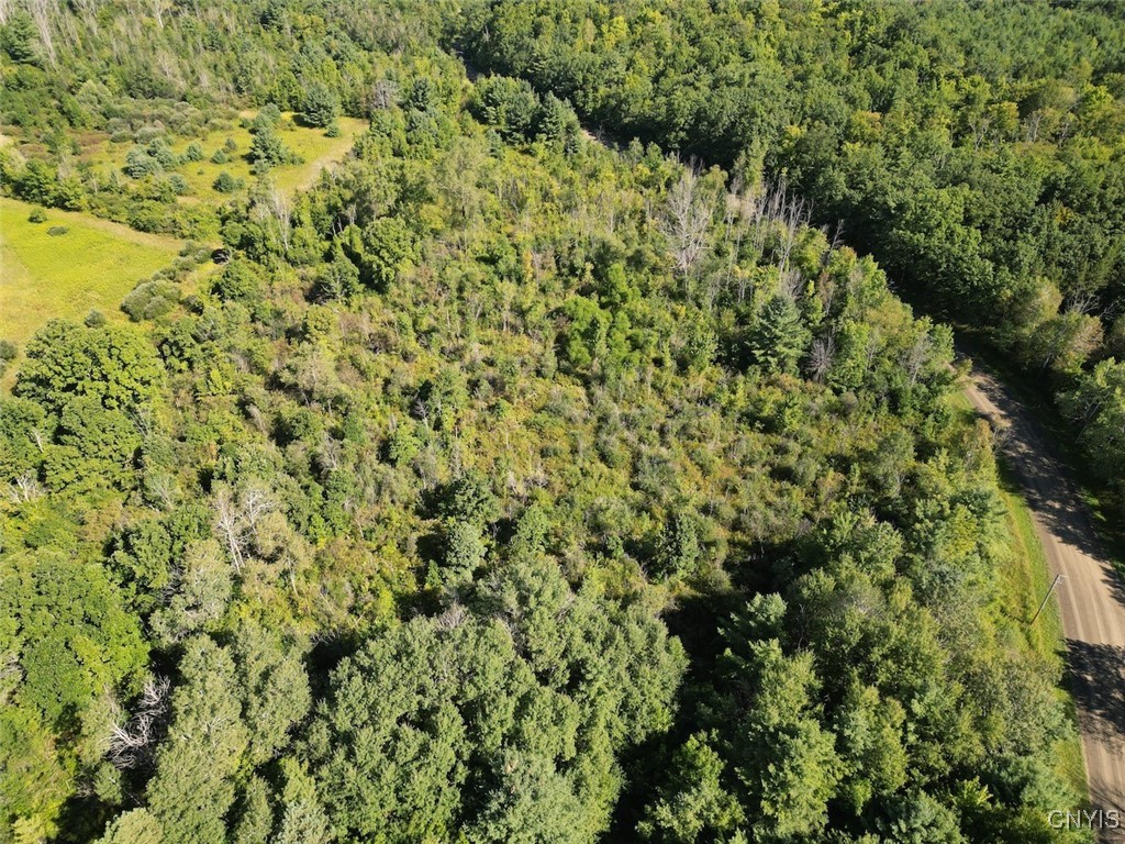 Wessie Road Prattsburgh, NY 14873 - Photo 9 of 11