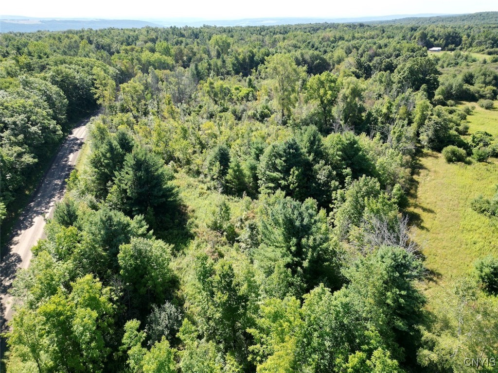 Wessie Road Prattsburgh, NY 14873 - Photo 10 of 11