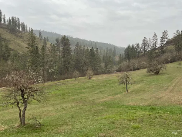 $450,000 | 1050 Cedar Ridge Road, Kendrick, ID 83537