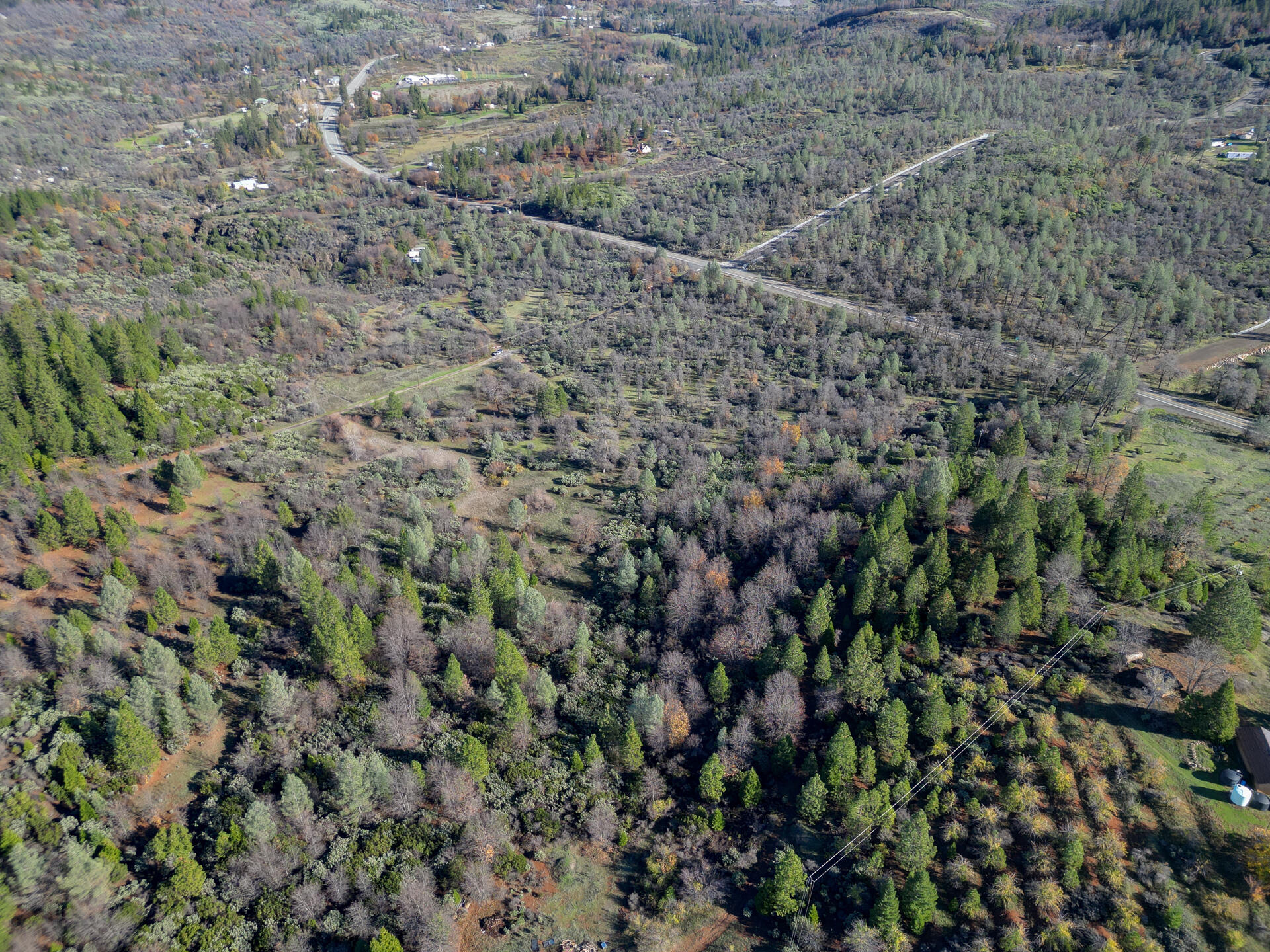 15.77 Acres Dittman Road Montgomery Creek, CA 96065 - Photo 26 of 26 IMG_3341