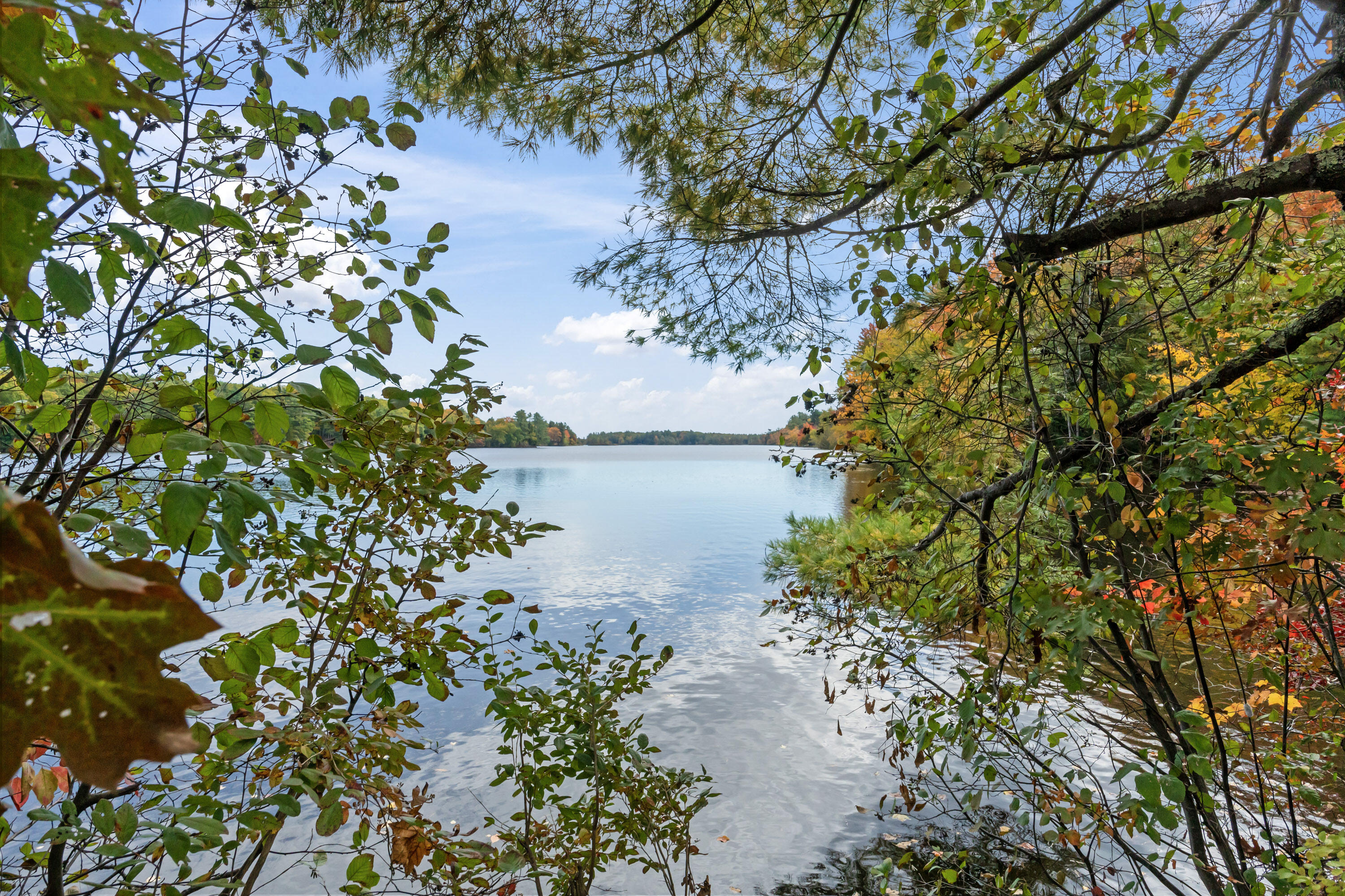 Tbd Tbd Branch View Terrace, Unit LOT 8 Alfred, ME 04002 - Photo 24 of 24 Branch View Estates_156