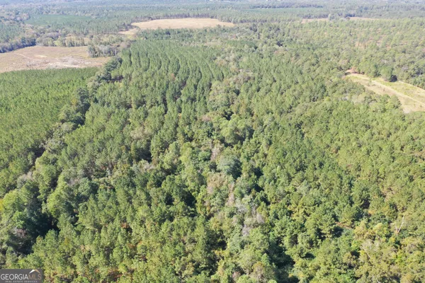 a view of a big yard with lots of green space