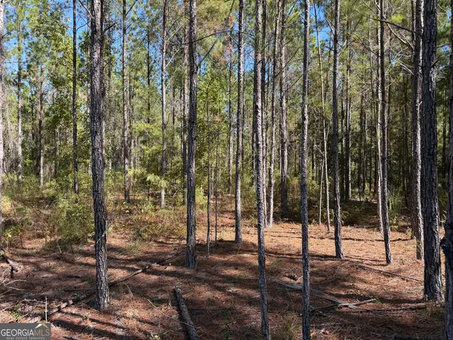 a view of a backyard of the house