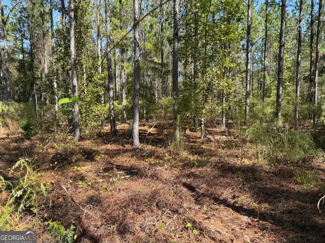 a view of outdoor space and trees
