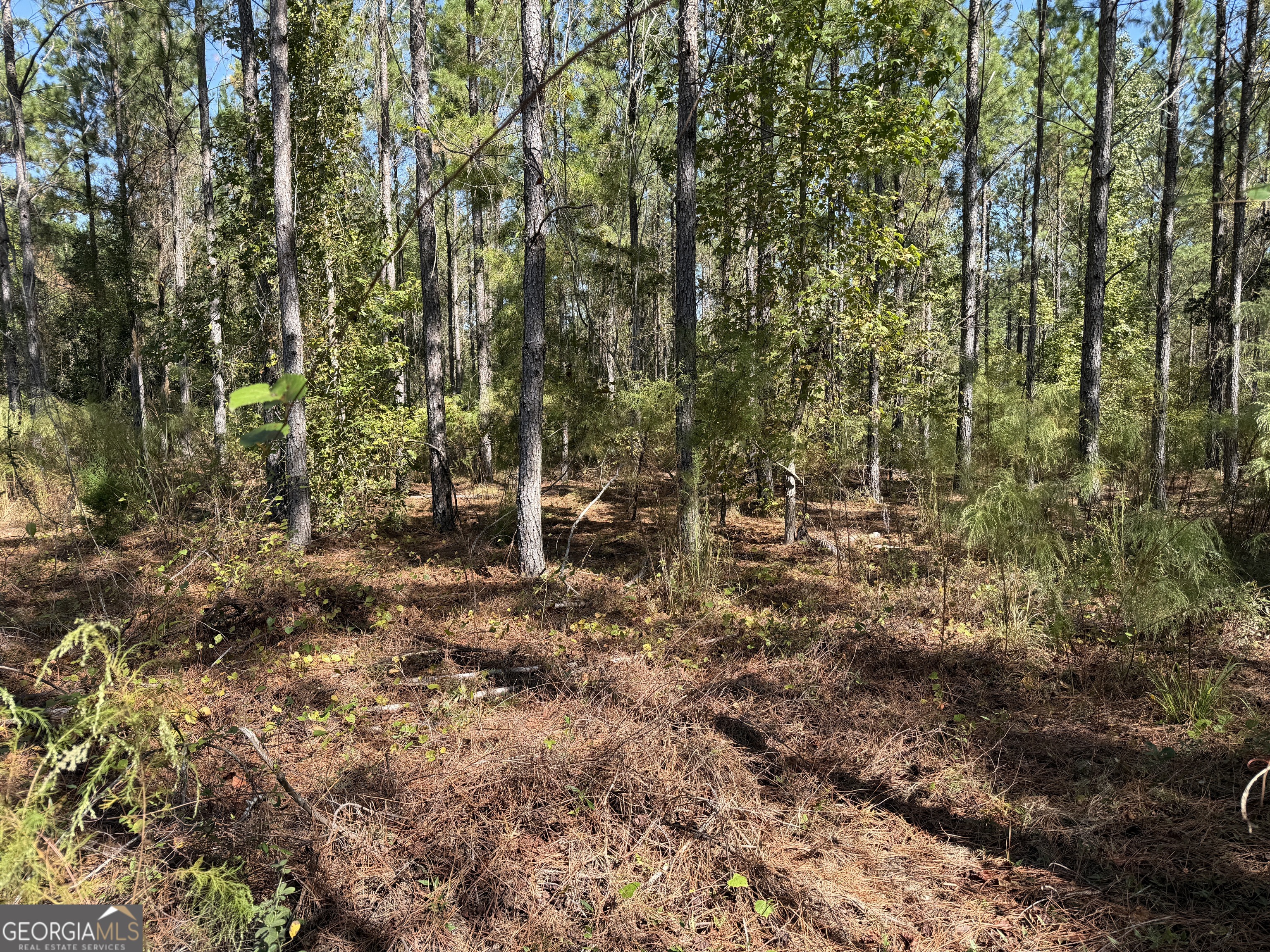 0 Upper Hawthorne Trail Cairo, GA 39828 - Photo 3 of 7 a view of outdoor space and trees