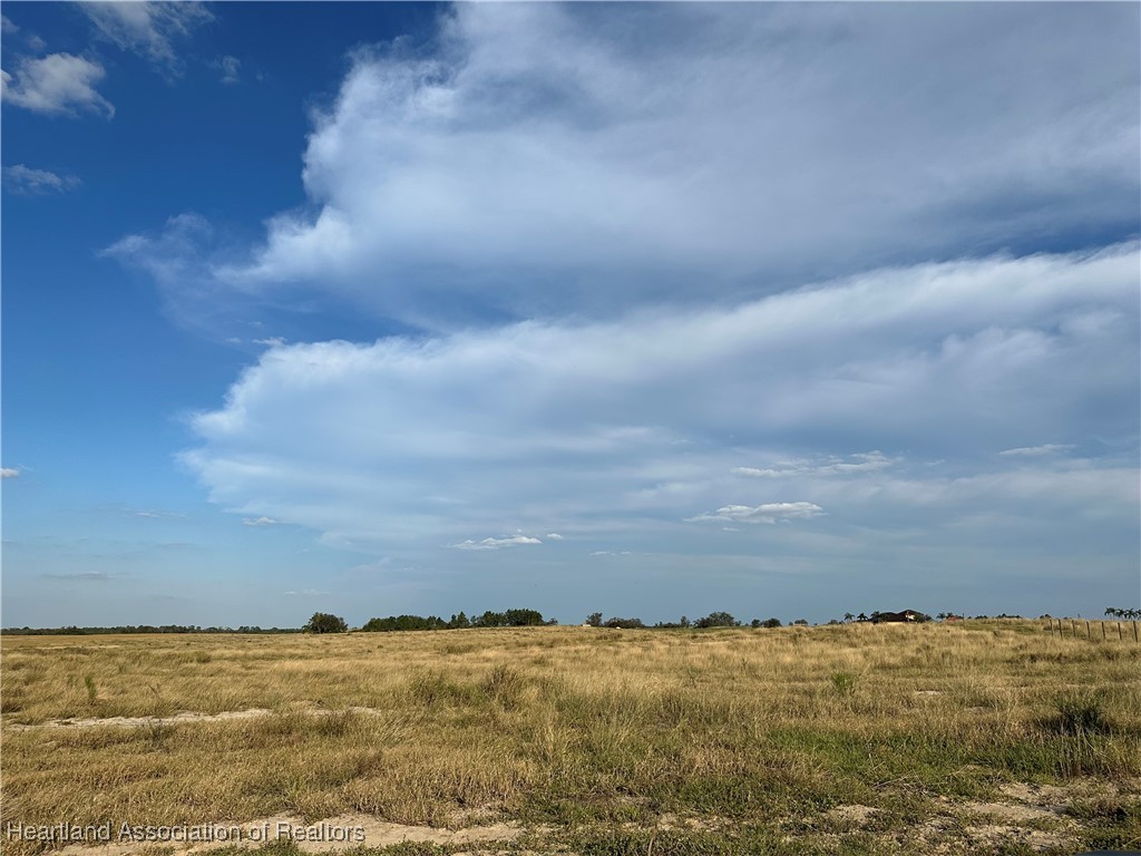 Snyder Road Sebring, FL 33870 - Photo 3 of 10 Gallery Image 3