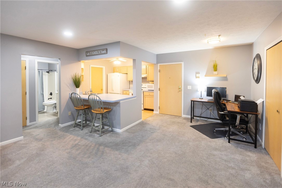 19510 Lorain Road, Unit 101 Cleveland, OH 44126 - Photo 6 of 24 Living room with recessed lights, carpeted with view of the breakfast bar and dinette area