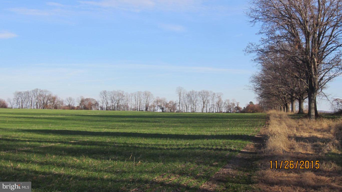 165 Wickersham Road Bainbridge, PA 17502 - Photo 24 of 28 Gallery Image 24