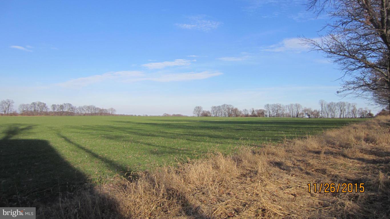 165 Wickersham Road Bainbridge, PA 17502 - Photo 26 of 28 Gallery Image 26