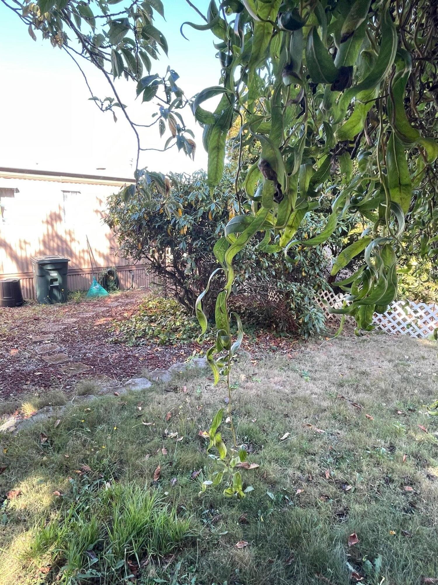 1575 Princess Lane Fortuna, CA 95540 - Photo 32 of 36 IMG_6481