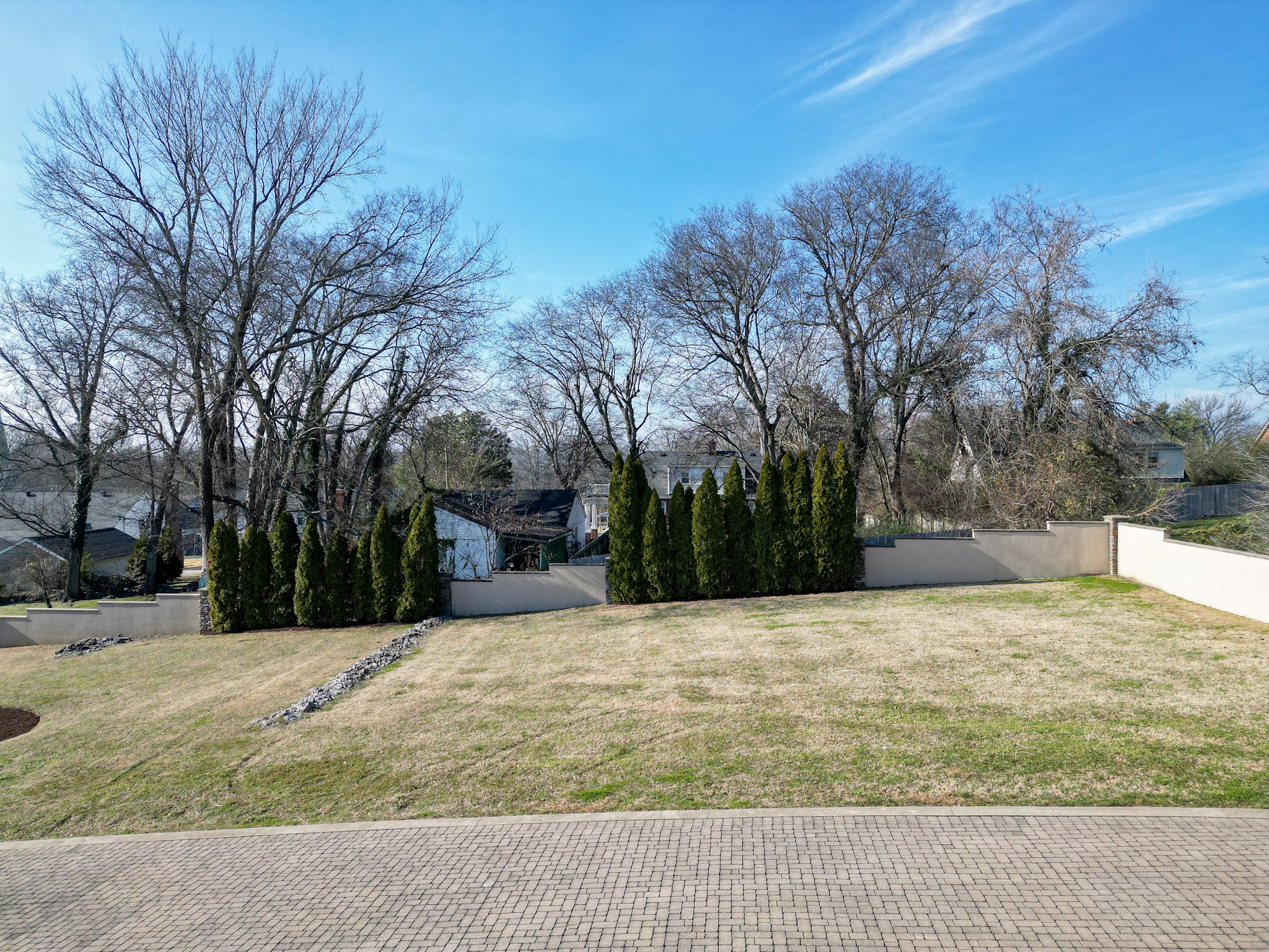 705 Halcyon Way Columbia, TN 38401 - Photo 4 of 16 a view of yard with trees