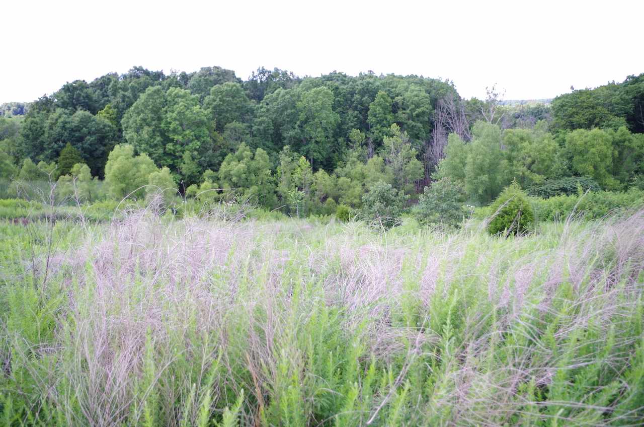 730 Jetson Cut-Off Road Morgantown, KY 42261 - Photo 5 of 12 Gallery Image 5