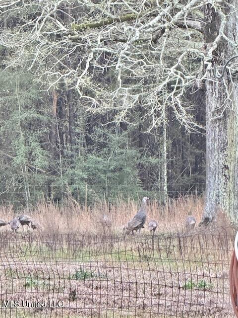 3159 Claude Smith Road Magnolia, MS 39652 - Photo 25 of 43 IMG_6851