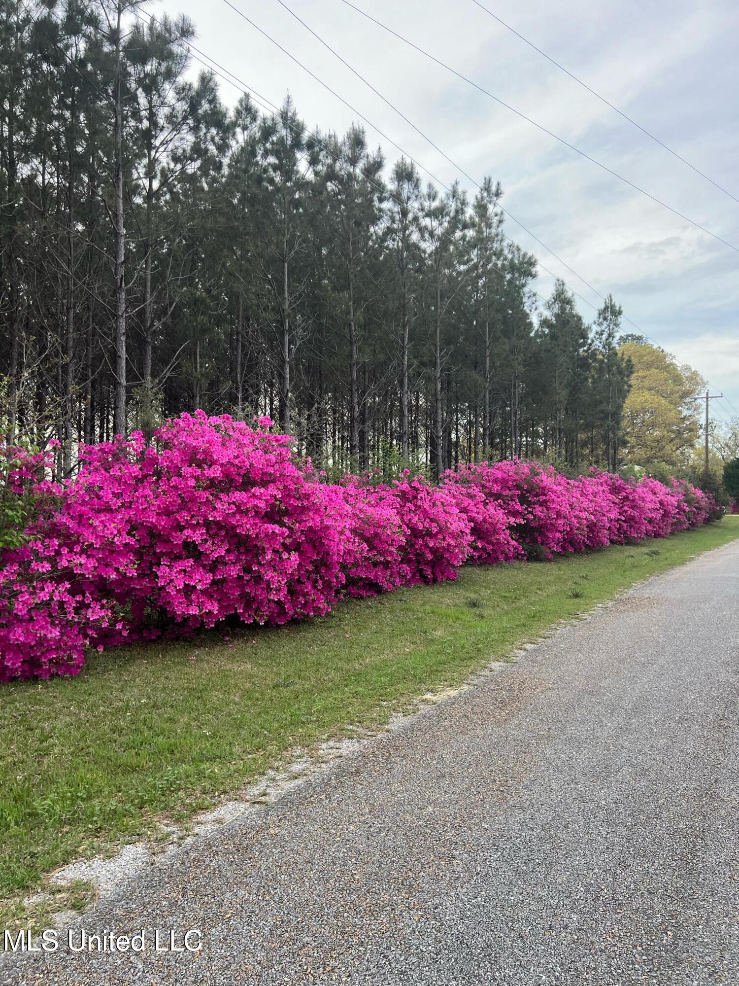 3159 Claude Smith Road Magnolia, MS 39652 - Photo 41 of 43 IMG_4859