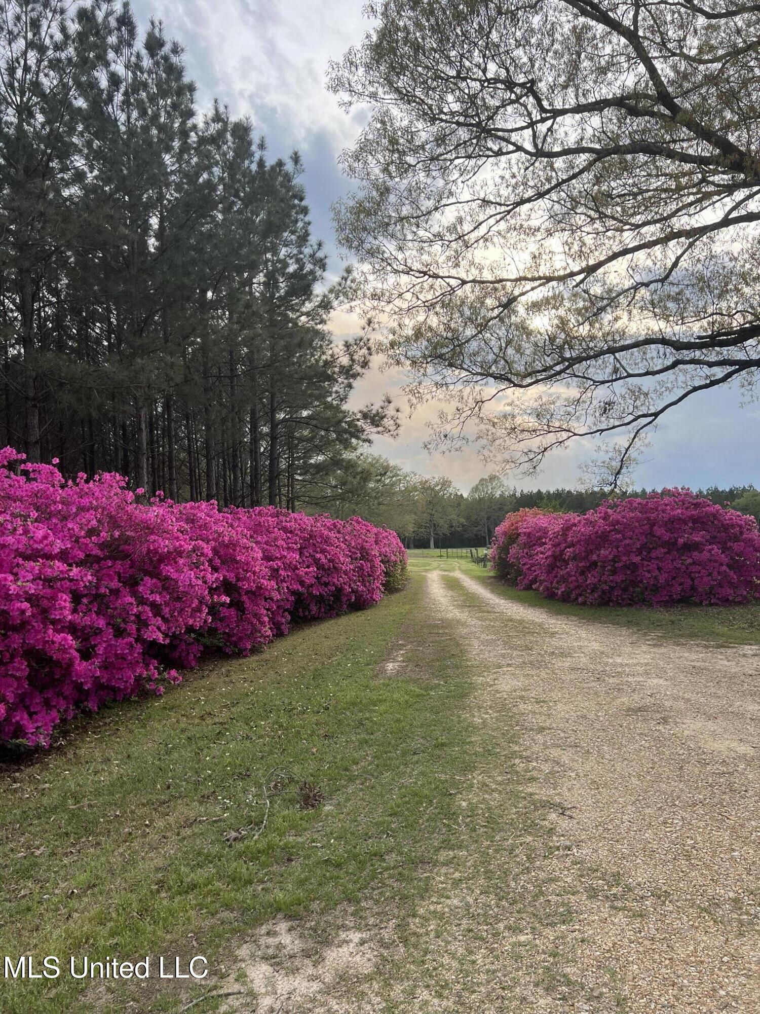 3159 Claude Smith Road Magnolia, MS 39652 - Photo 42 of 43 IMG_4861