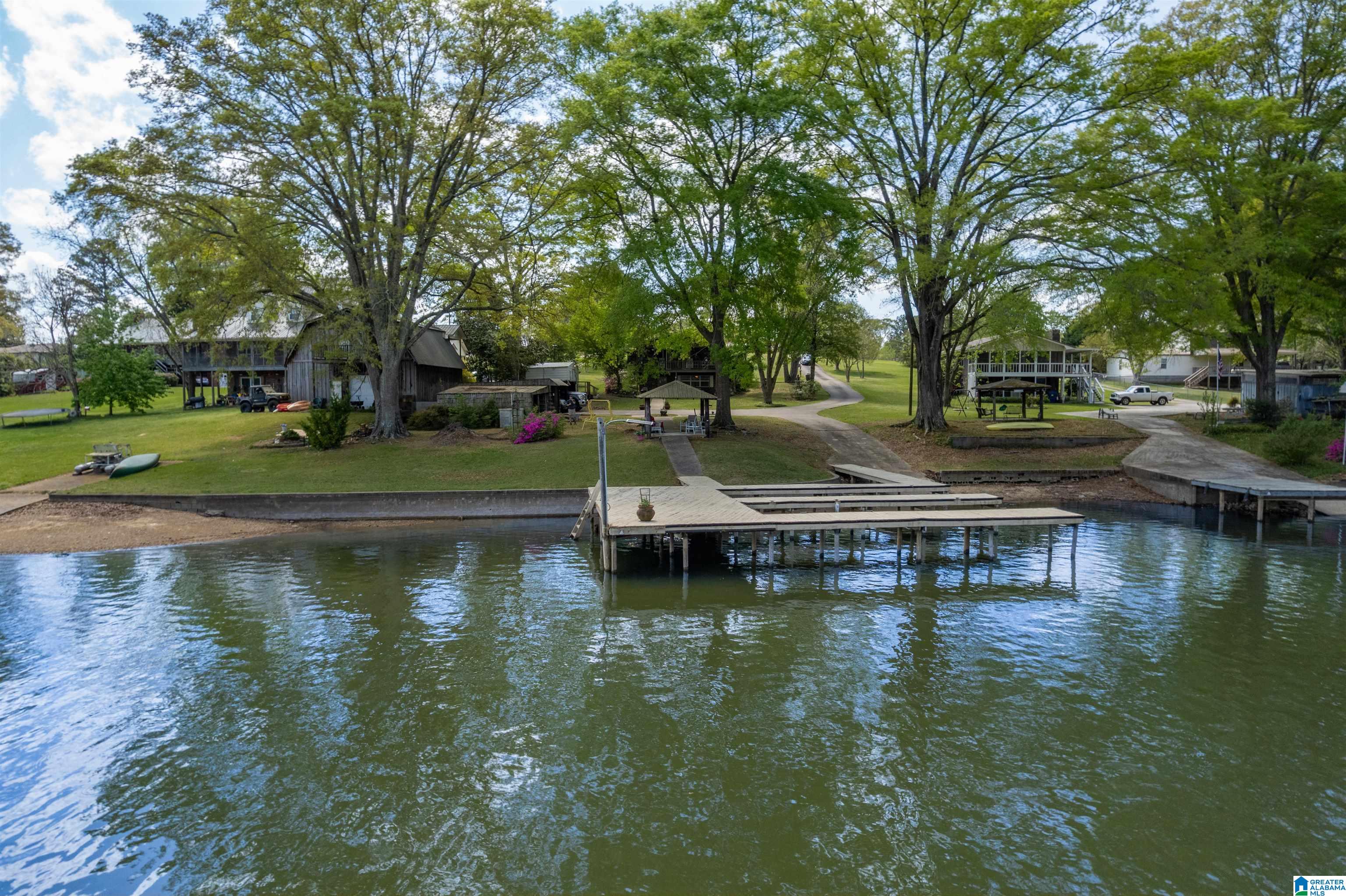 509 Coosa Island Road Cropwell, AL 35054 - Photo 2 of 52