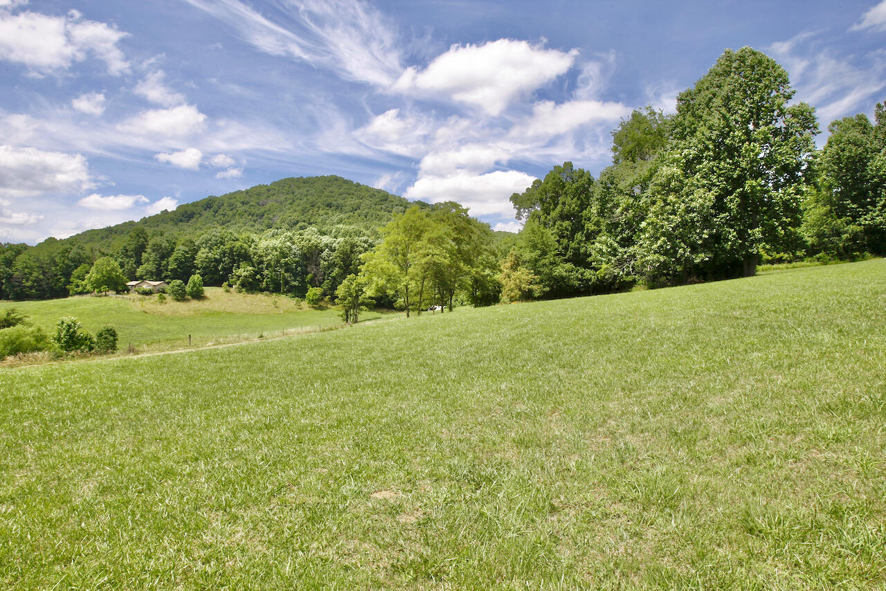 2444 Nemmo Road Vinton, VA 24179 - Photo 54 of 59 a view of a field with an trees in the background