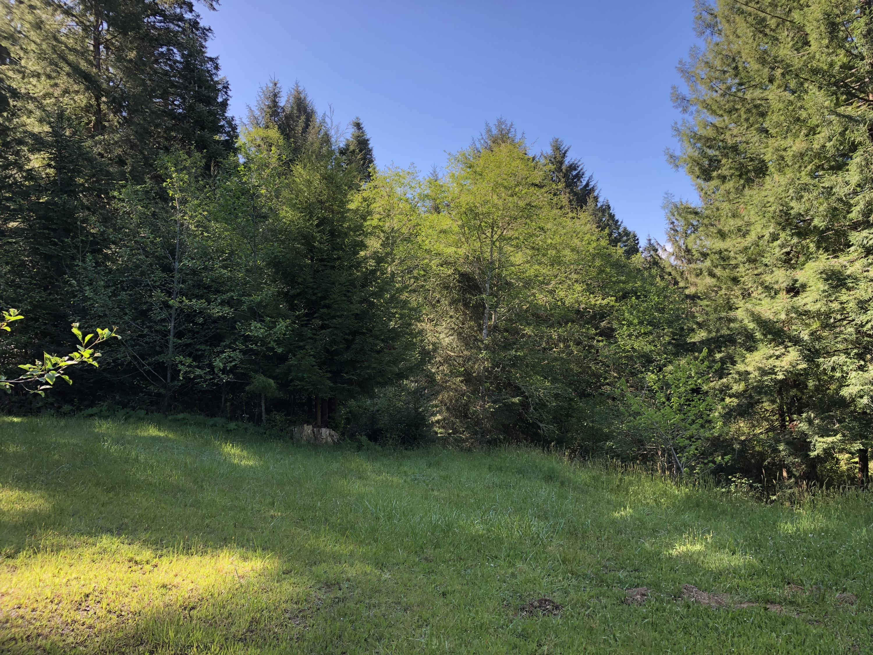 1465 Splinter Ln Bayside Lane Arcata, CA 95521 - Photo 33 of 40