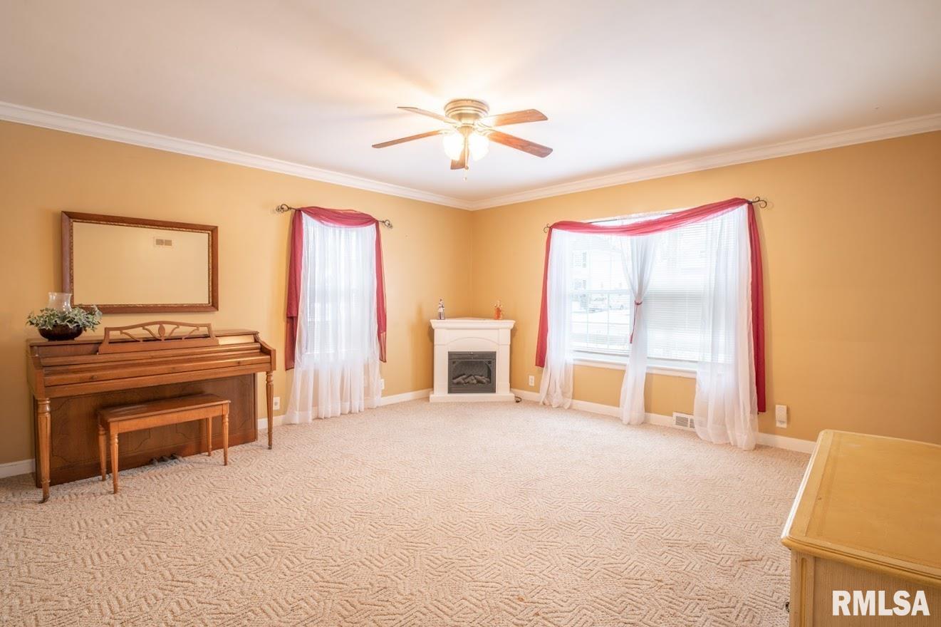 312 North Trivoli Road Trivoli, IL 61569 - Photo 6 of 45