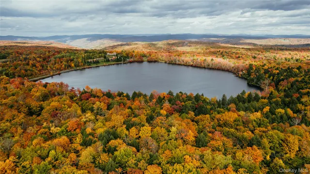 a view of a pathway with a garden
