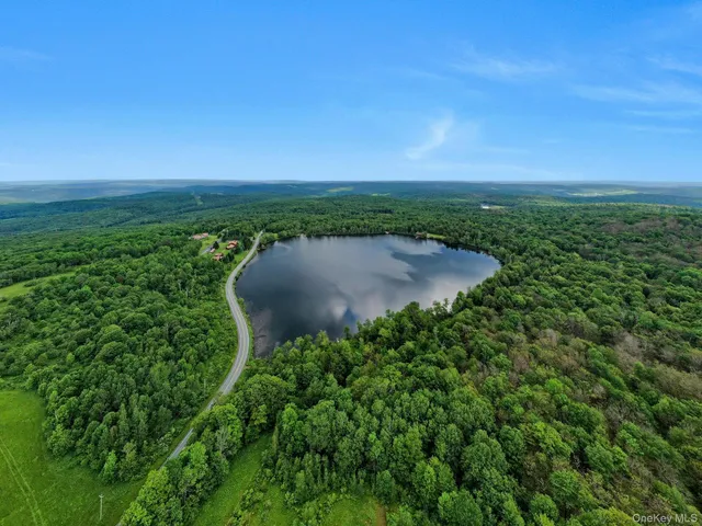 a view of a lake with houses in the background