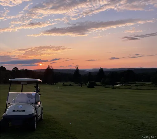 a view of a lush green space near a lake