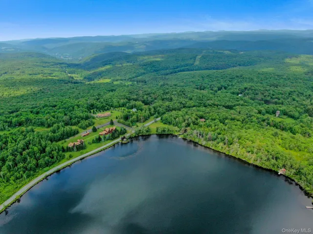 $450,000 | Lot 9 Wood Lake Trail, Roscoe, NY 12736